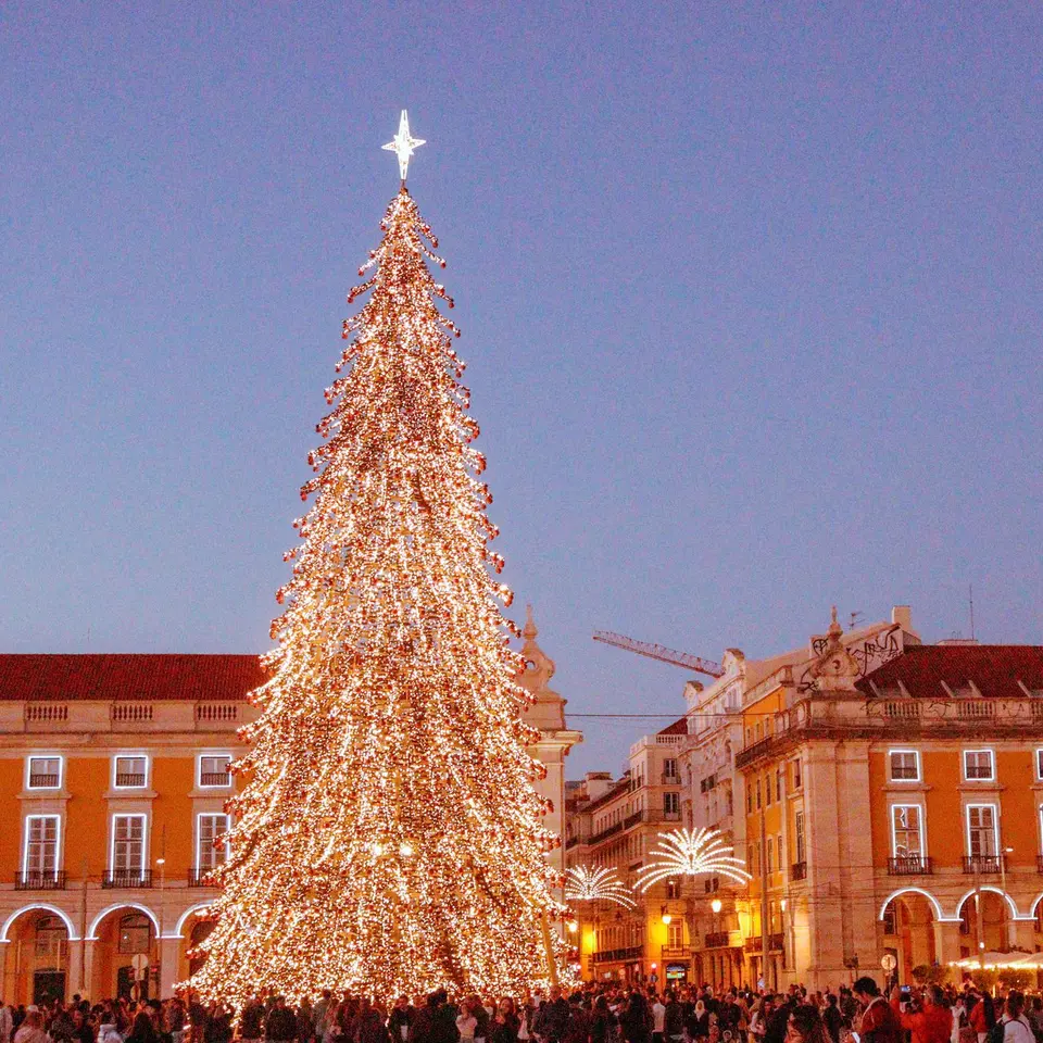 Árbol de Navidad gigante iluminado en la Praça do Comércio de Lisboa